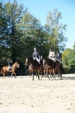 herbstritt-2010-0019