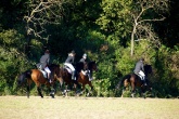herbstritt-2010-0062