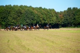 herbstritt-2010-0067