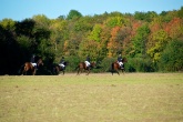herbstritt-2010-0070