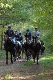 herbstritt-2010-0074