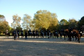 herbstritt-2010-0077