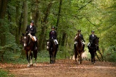 Herbstritt 2011