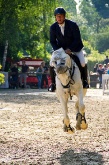 matthias-bojer-003