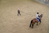 Sitzschulung März 2012 (Reitkurs)