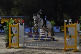 kornspringer_turnier_09-2011-0041