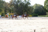 kornspringer_turnier_09-2011-0069