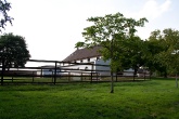 kornspringer-ausflug-gestuet-roettgen-2011-163