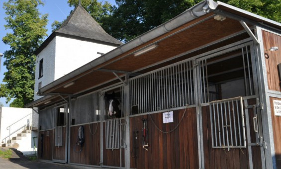 Pferdebox/Außenbox des Kornspringer Reitstall