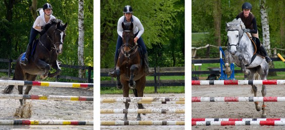 Fotocollage vom Springlehrgang mit Lars Meyer zu Bexten 2015