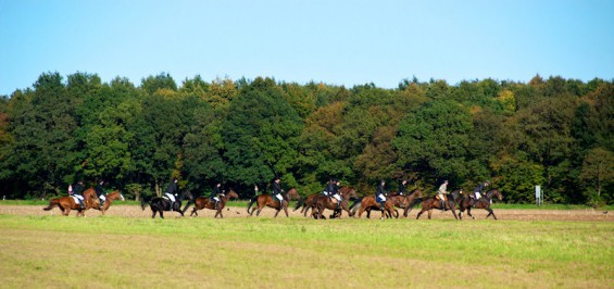 Der alljährliche Herbstritt des Kornspringer Reitstalls durch den Königsforst bis nach Forsbach