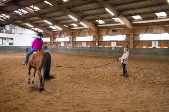 kornspringer-reitlehrgang-sitzschulung-2013-143