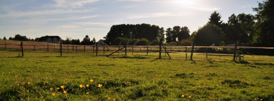 Ansicht der Weidenflächen für die Pferde des Kornspringer Reitstalls